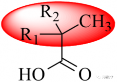 Glycidyl Neodecanoate Properties