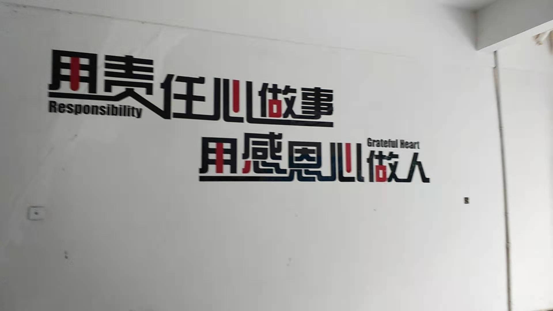 新癸酸乙烯酯 (W10)
